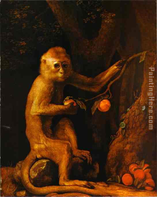 Green Monkey painting - George Stubbs Green Monkey art painting